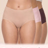 Polyamide Full Coverage High Waist Seamless Hipster Panty with Ultra Soft Inner Elastic Waistband  (TW-3001) (Skin+Rose+Coffee)